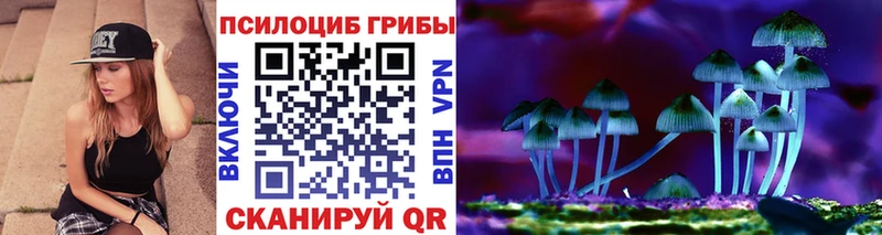 сколько стоит  Новая Усмань  Галлюциногенные грибы ЛСД 